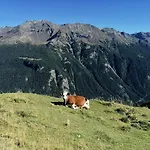 شقة Casa Carcentina - Fronte Seggiovia, Sulla Pista Stelvio