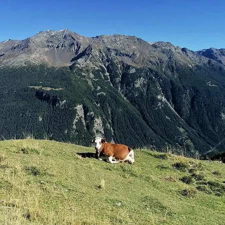 Lejlighed Casa Carcentina - Fronte Seggiovia, Sulla Pista Stelvio