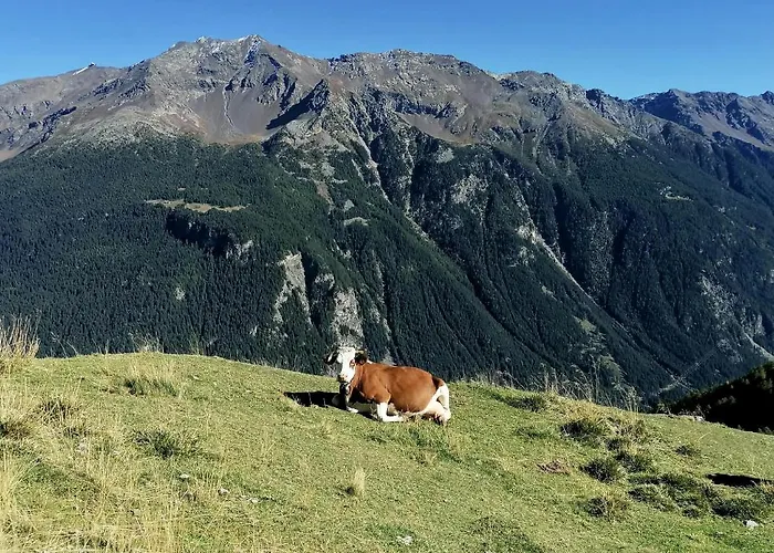 Appartamento Casa Carcentina-pista Stelvio Olimpiadi 2026